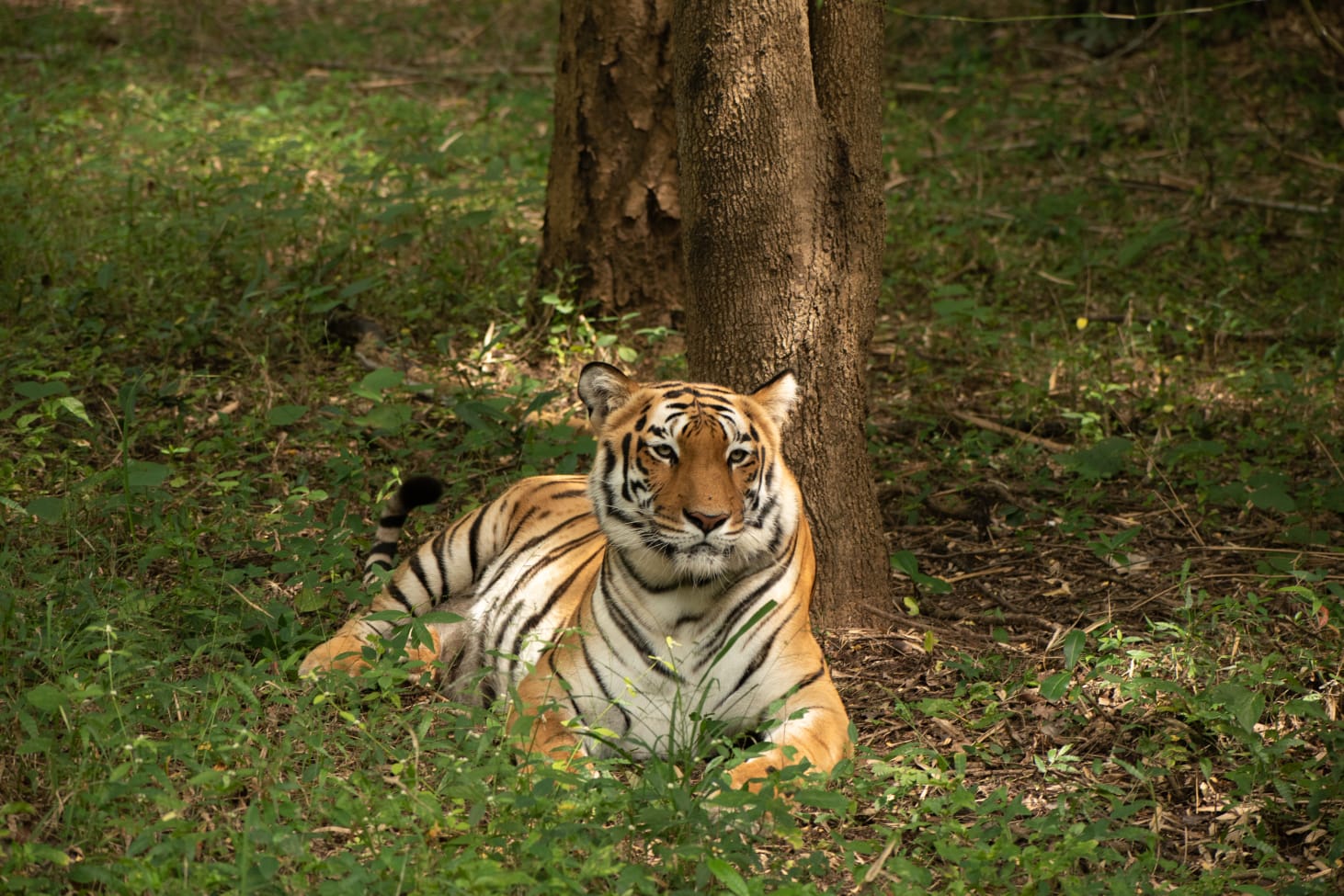 Corbett Couple Getaway