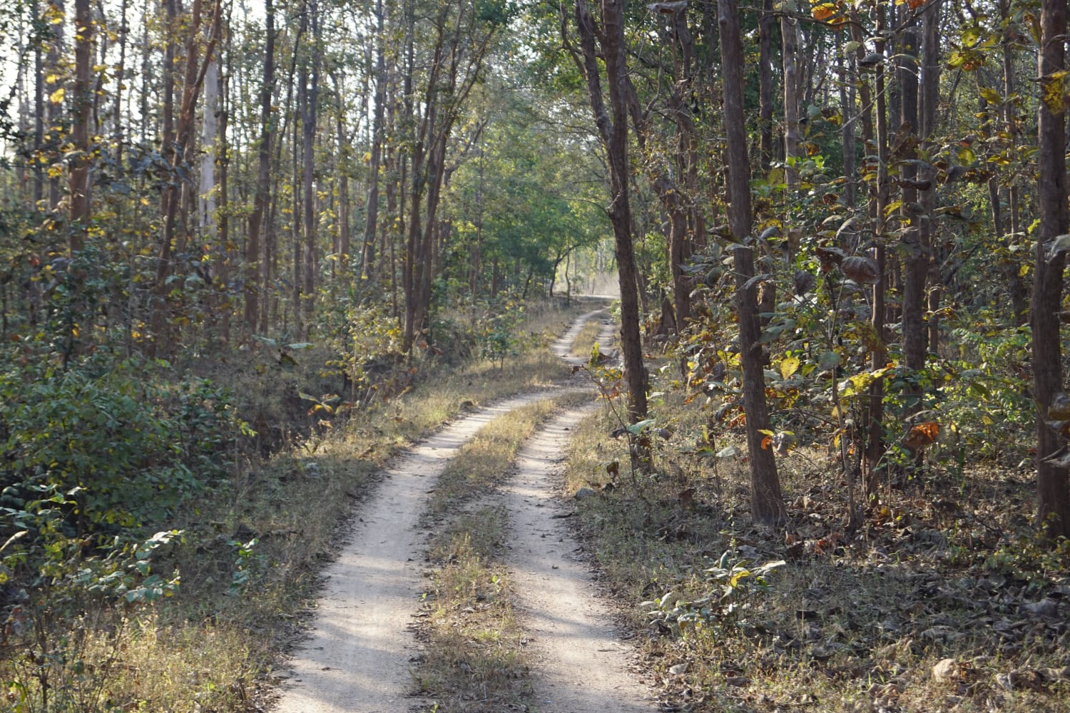 Corbett Quick Escape