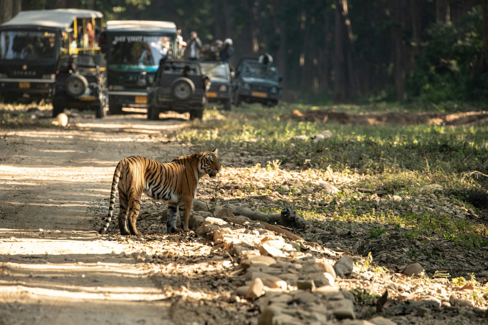 Corbett Weekend Escape